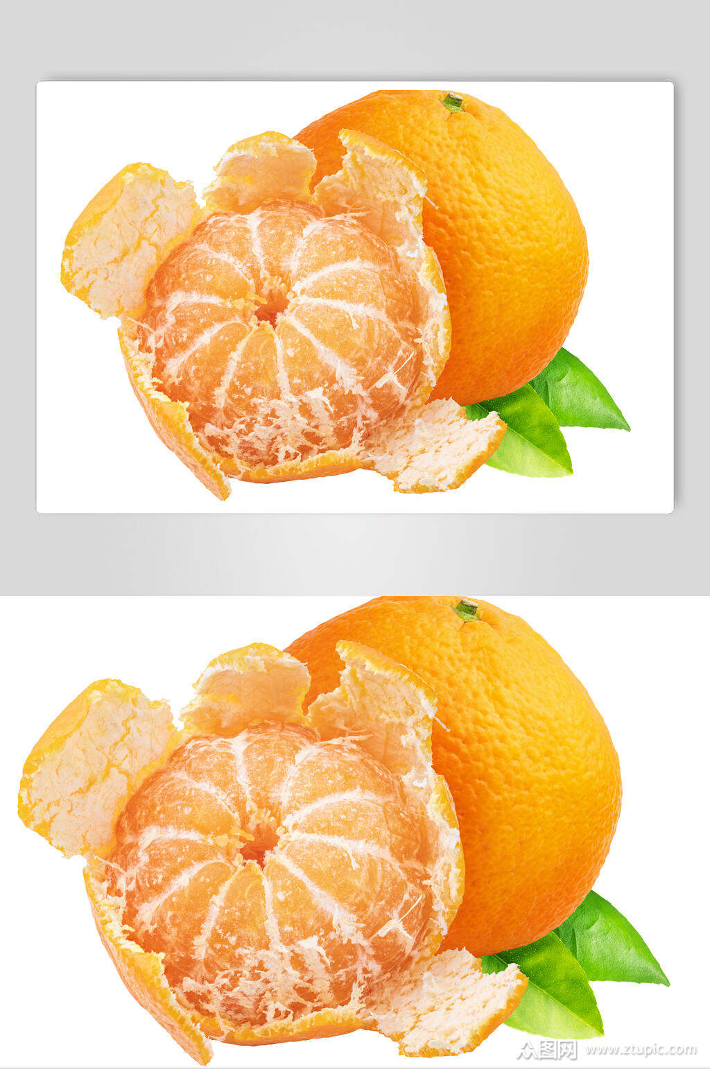 橘子代刷平台(桔子代刷网真的吗)